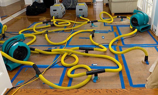 Professional Flood Damage Restoration technician working in Weidman, MI