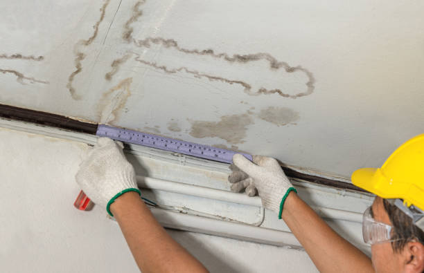 Affordable Water Damage Repair solutions in Weidman, MI